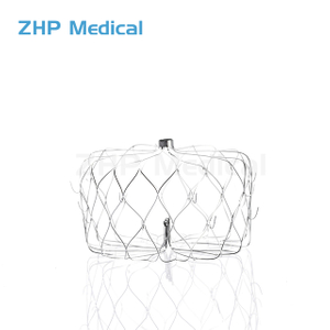 Stent NiTi